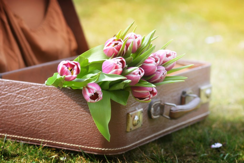Die 5 besten Tipps für den Start in einen gesunden Frühling