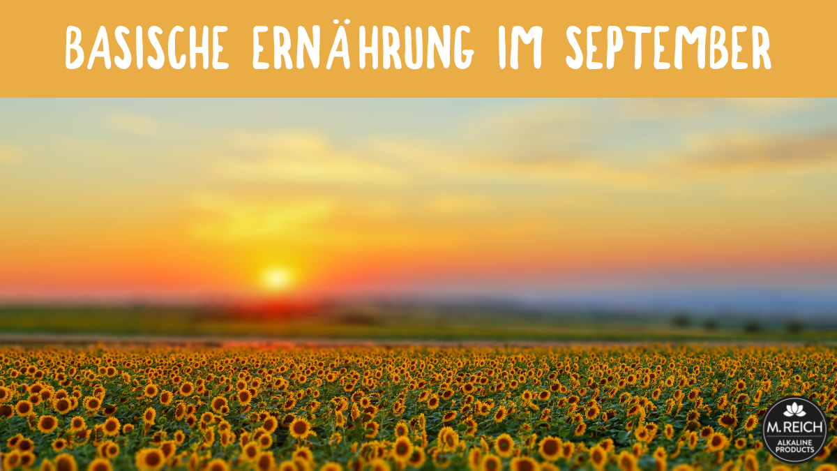 Basische Ernährung im September